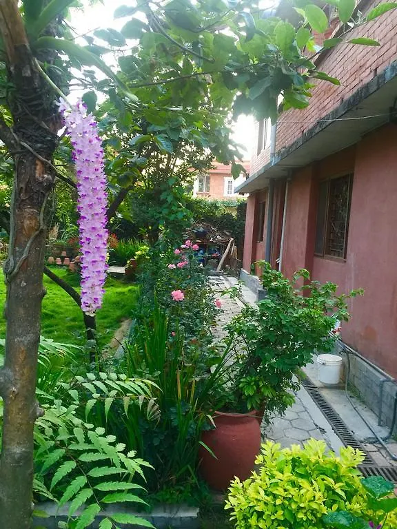 Prami'S Homestay Jawlakhel 0*,  Nepal