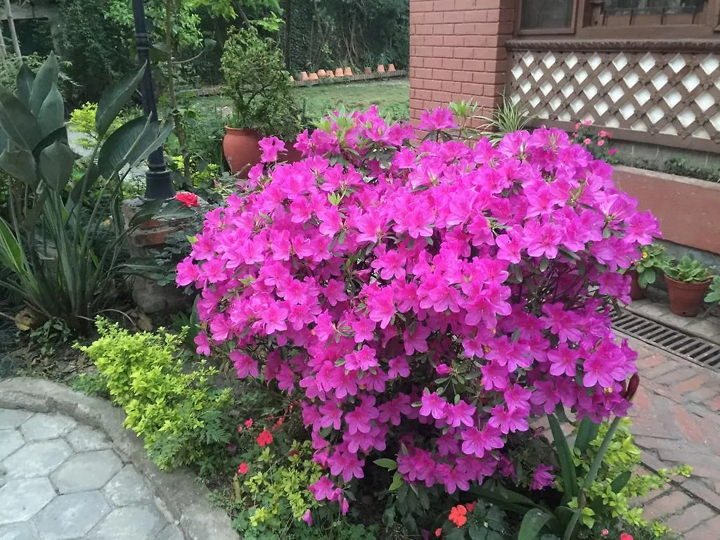 Prami'S Homestay Jawlakhel