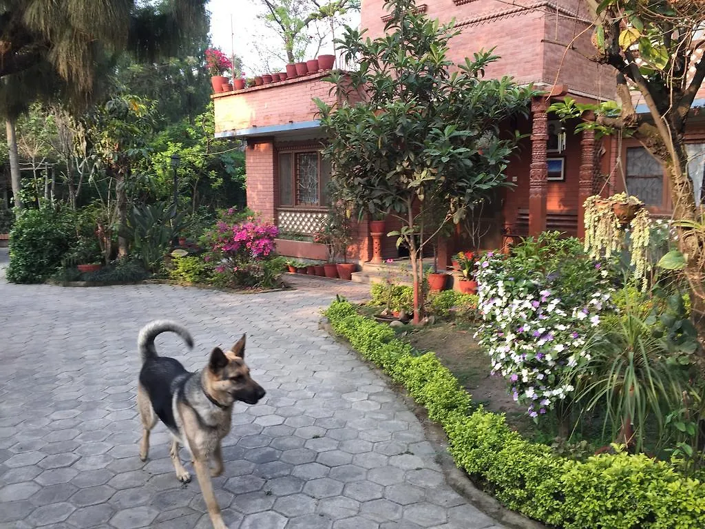 Prami'S Homestay Jawlakhel Nepal